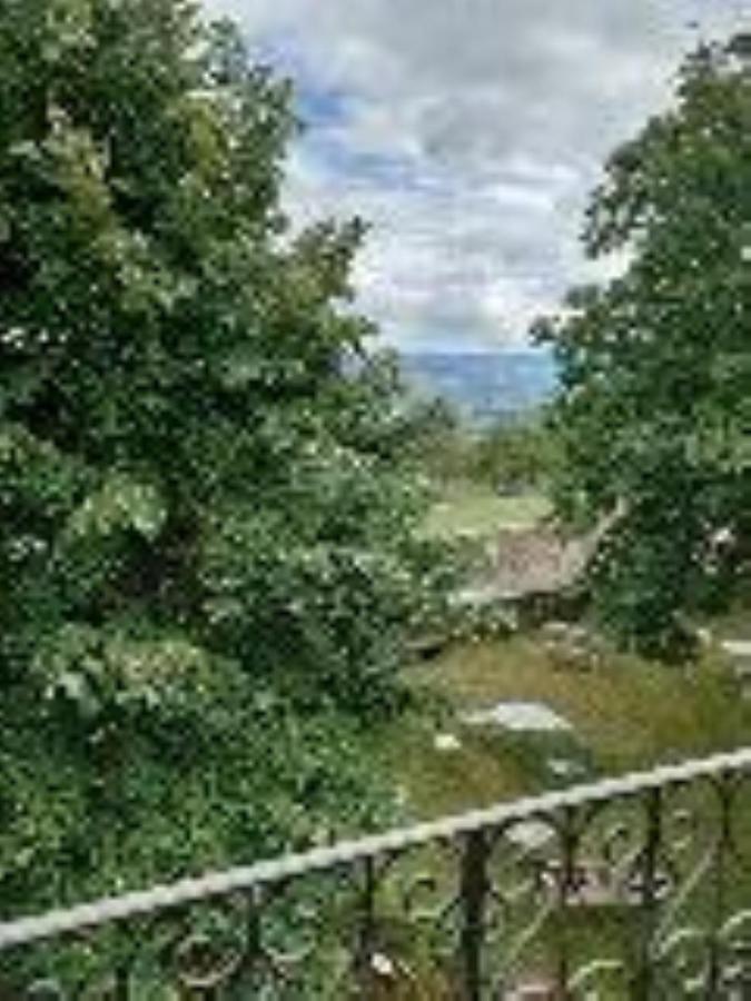 Chateau De Riverie Chambres Et Table D'Hotes Eksteriør bilde