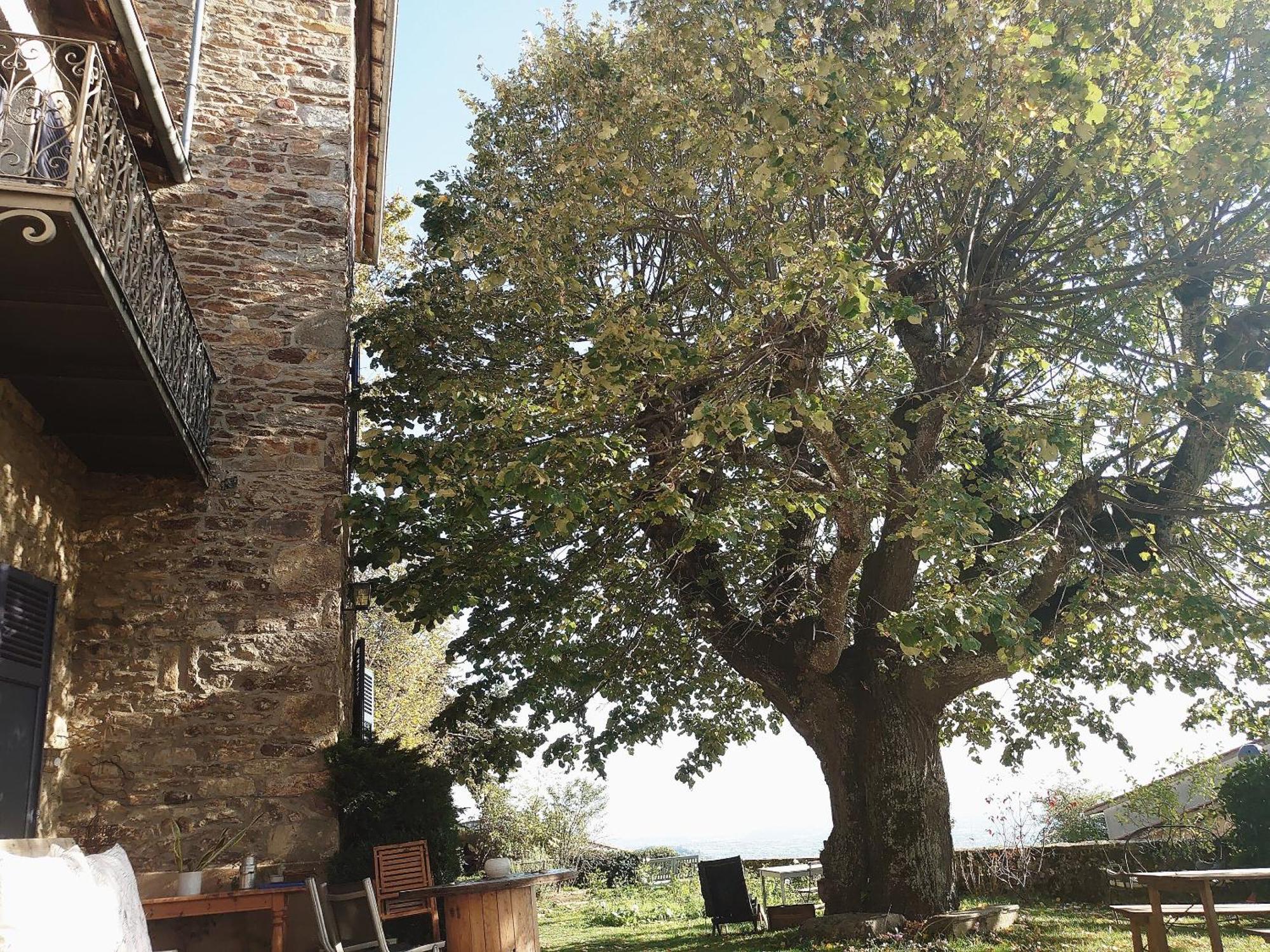Chateau De Riverie Chambres Et Table D'Hotes Eksteriør bilde